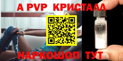 ECSTASY Канаш