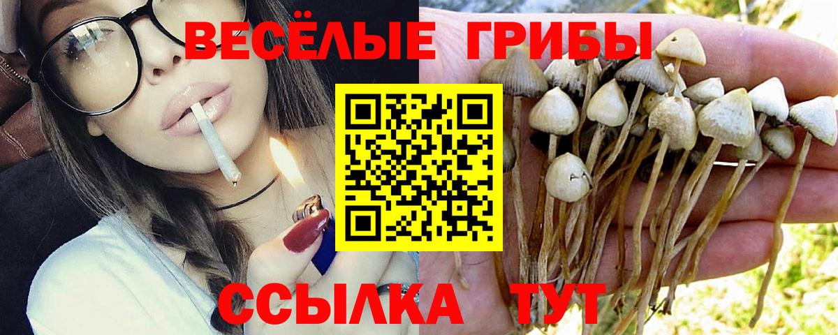 Псилоцибиновые грибы мицелий Кувандык